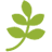 LOREM IPSUM